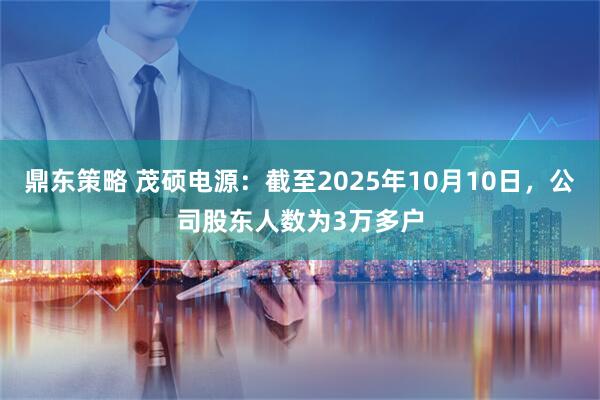 鼎东策略 茂硕电源：截至2025年10月10日，公司股东人数为3万多户