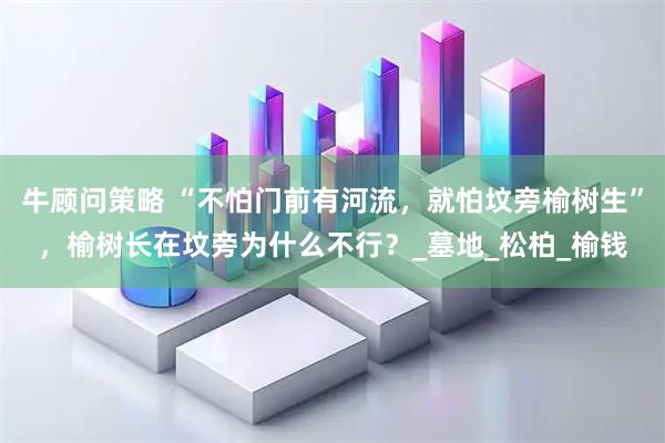 牛顾问策略 “不怕门前有河流,就怕坟旁榆树生”,榆树长在坟旁为什么不行?_墓地_松柏_榆钱