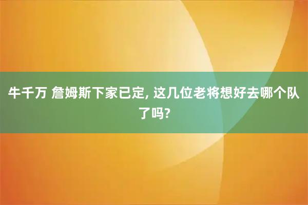 牛千万 詹姆斯下家已定, 这几位老将想好去哪个队了吗?