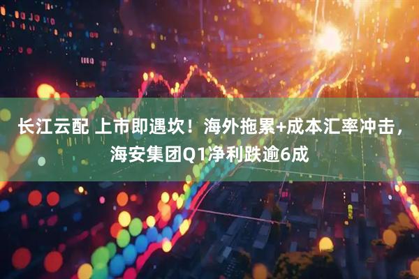 长江云配 上市即遇坎！海外拖累+成本汇率冲击，海安集团Q1净利跌逾6成